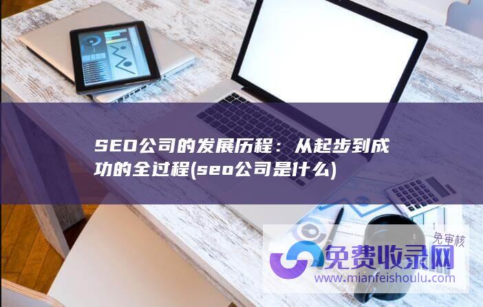 SEO公司的发展历程：从起步到成功的全过程 (seo公司是什么)