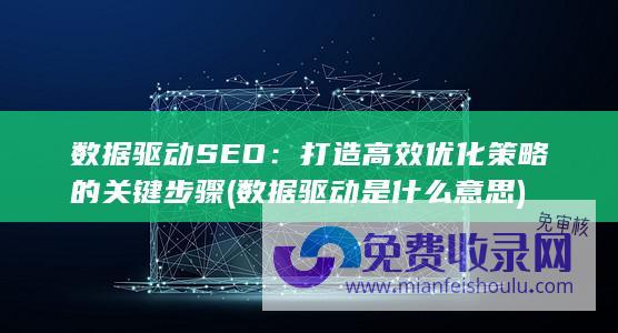 数据驱动SEO：打造高效优化策略的关键步骤 (数据驱动是什么意思)