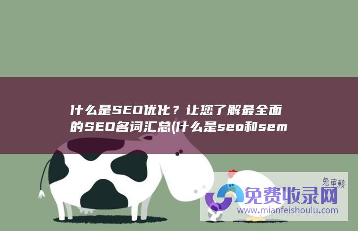 什么是SEO优化？让您了解最全面的SEO名词汇总 (什么是seo和sem有什么区别)