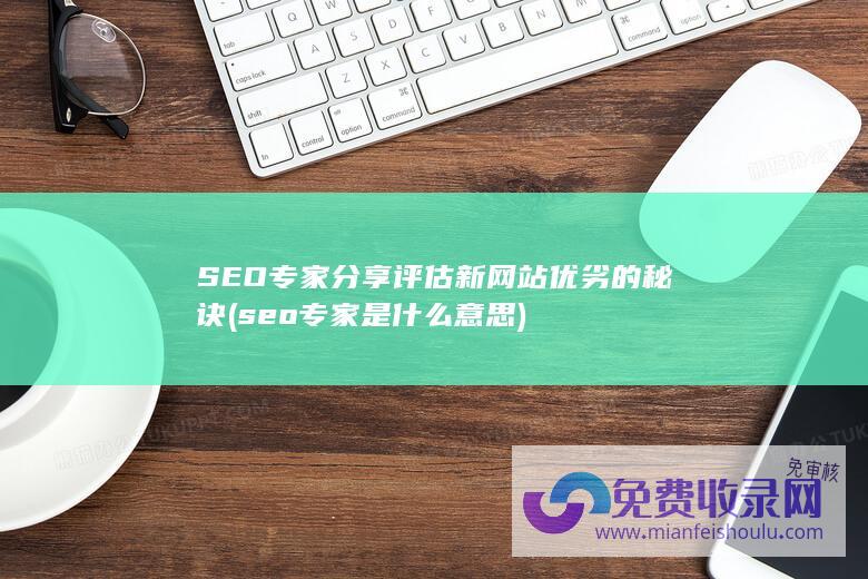 seo专家是什么意思