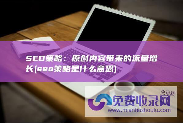 seo策略是什么意思