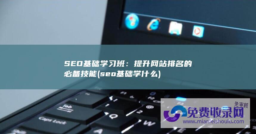 SEO基础学习班：提升网站排名的必备技能 (seo基础学什么)