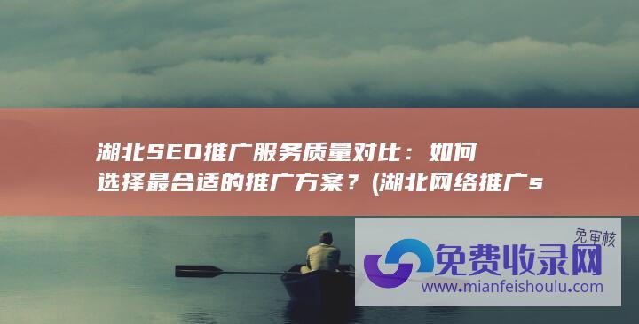 湖北SEO推广服务质量对比