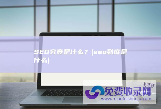 SEO究竟是什么？ (seo到底是什么)