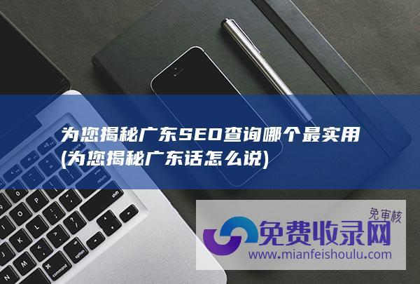 为您揭秘广东SEO查询哪个最实用 (为您揭秘广东话怎么说)