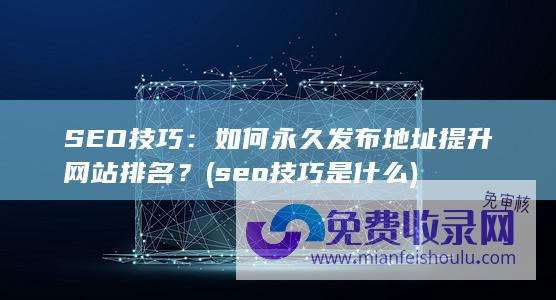 SEO技巧：如何永久发布地址提升网站排名？ (seo技巧是什么)