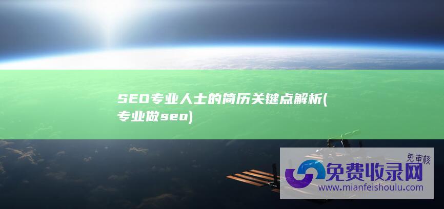 SEO专业人士的简历关键点解析 (专业做seo)