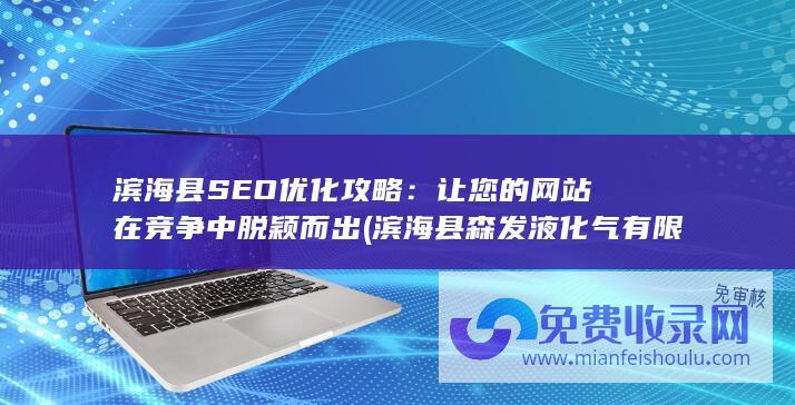 滨海县SEO优化攻略：让您的网站在竞争中脱颖而出 (滨海县森发液化气有限公司)