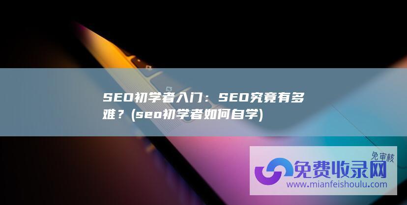 SEO初学者入门：SEO究竟有多难？ (seo初学者如何自学)