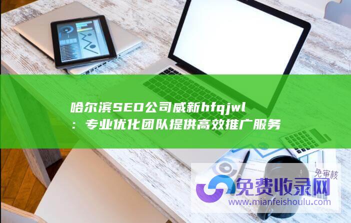 哈尔滨SEO公司威新hfqjwl：专业优化团队提供高效推广服务