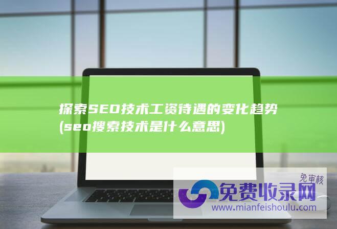 seo搜索技术是什么意思