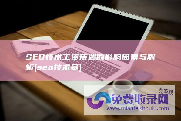 SEO技术工资待遇的影响因素与解析 (seo技术员)