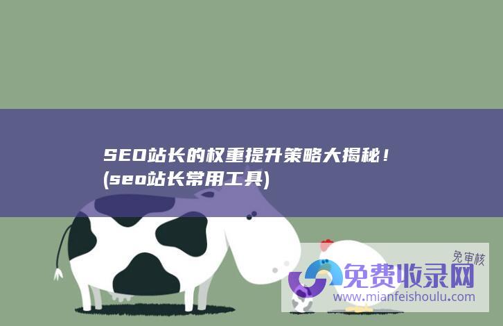 SEO站长的权重提升策略大揭秘！ (seo站长常用工具)