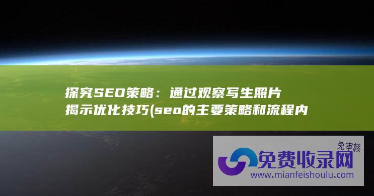 探究SEO策略：通过观察写生照片揭示优化技巧 (seo的主要策略和流程内容)