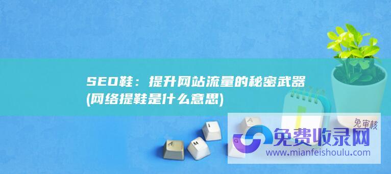 SEO鞋：提升网站流量的秘密武器 (网络提鞋是什么意思)