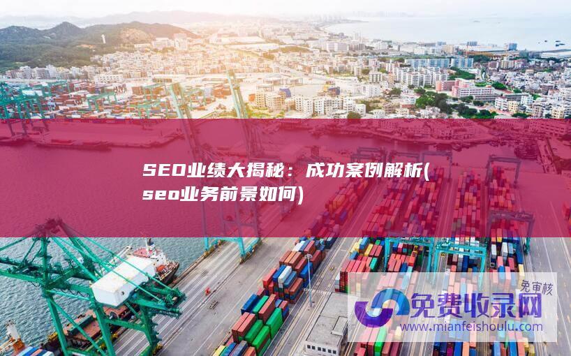 SEO业绩大揭秘：成功案例解析 (seo业务前景如何)