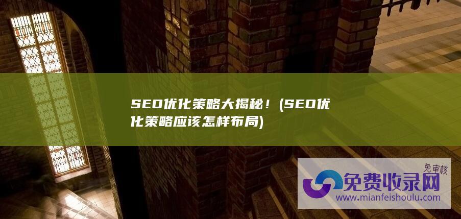 SEO优化策略大揭秘！ (SEO优化策略应该怎样布局)