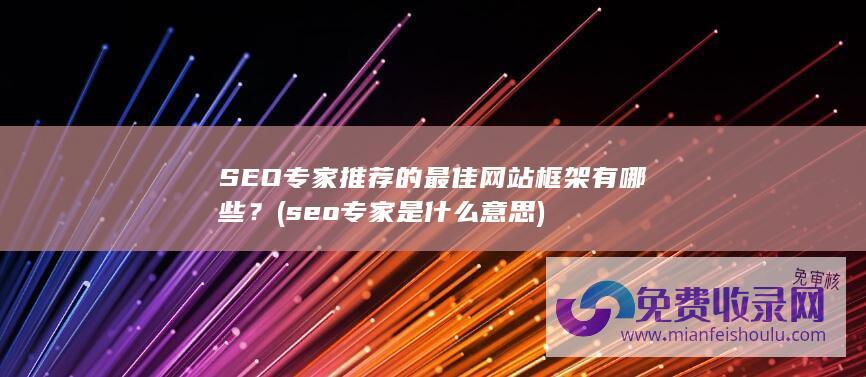 seo专家是什么意思