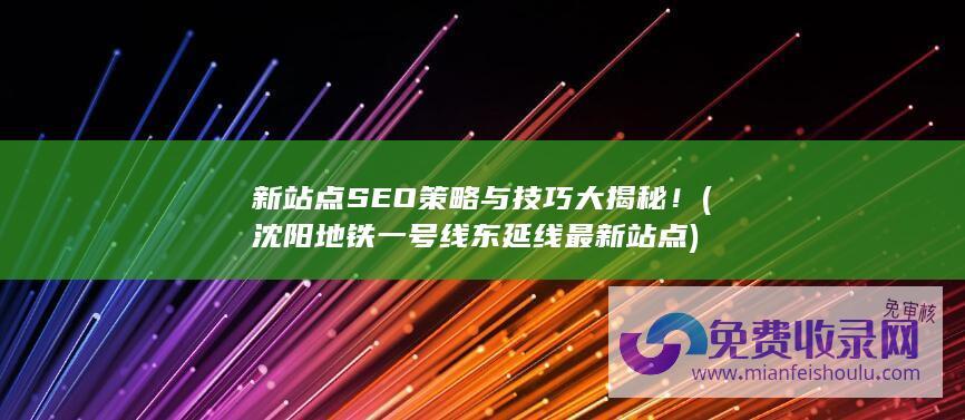 新站点SEO策略与技巧大揭秘！ (沈阳地铁一号线东延线最新站点)