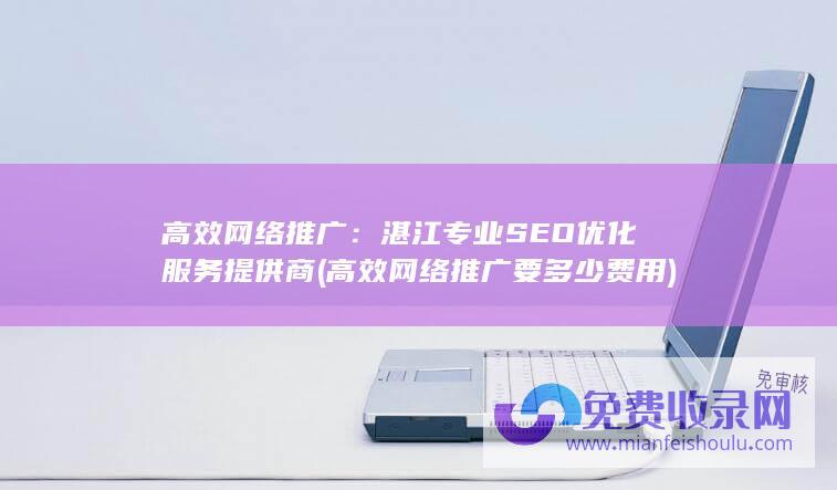 高效网络推广：湛江专业SEO优化服务提供商 (高效网络推广要多少费用)