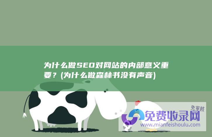 为什么做SEO对网站的内部意义重要？ (为什么做森林书没有声音)