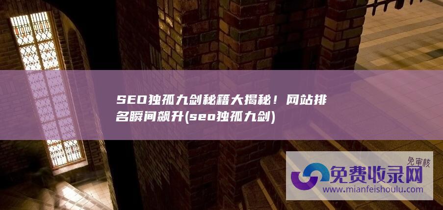 SEO独孤九剑秘籍大揭秘！网站排名瞬间飙升 (seo独孤九剑)