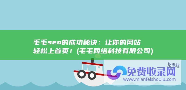 毛毛seo的成功秘诀：让你的网站轻松上首页！ (毛毛网络科技有限公司)