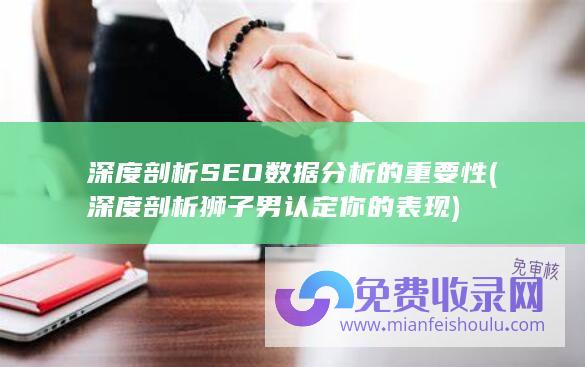 深度剖析SEO数据分析的重要性 (深度剖析狮子男认定你的表现)