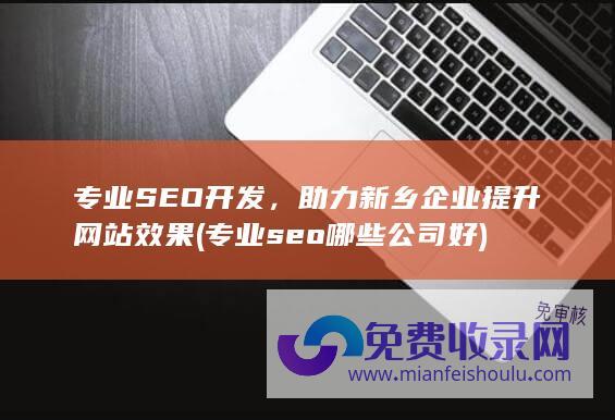 专业SEO开发，助力新乡企业提升网站效果 (专业seo哪些公司好)