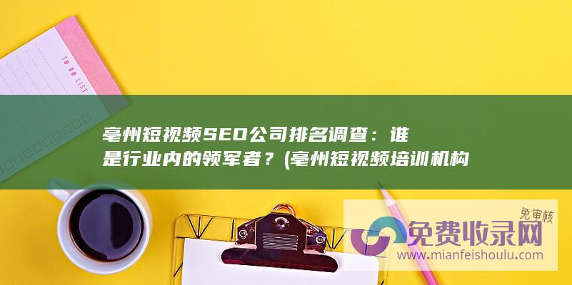 亳州短视频SEO公司排名调查：谁是行业内的领军者？ (亳州短视频培训机构政府补贴多久能到账)