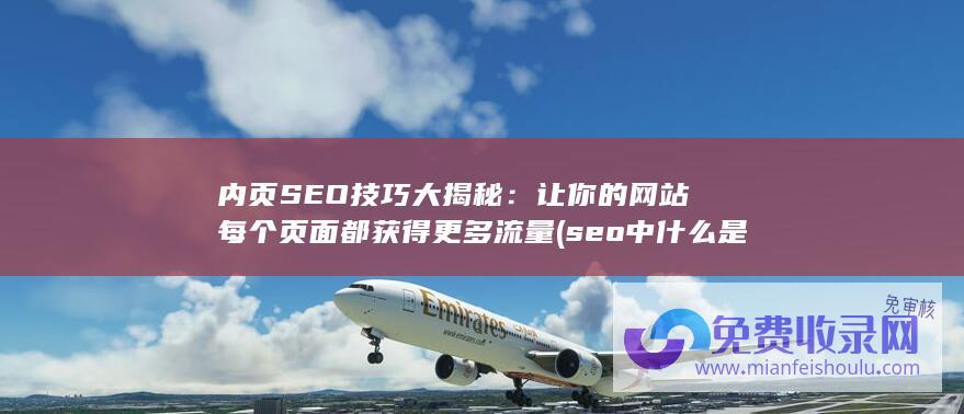 内页SEO技巧大揭秘：让你的网站每个页面都获得更多流量 (seo中什么是内页)