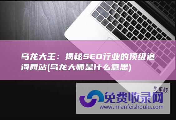 乌龙大王：揭秘SEO行业的顶级追词网站 (乌龙大师是什么意思)