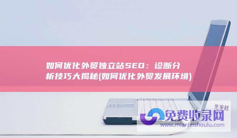 如何优化外贸独立站SEO：诊断分析技巧大揭秘 (如何优化外贸发展环境)