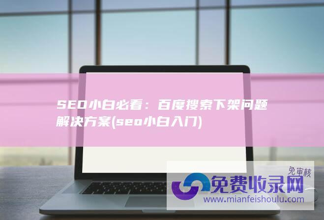 SEO小白必看：百度搜索下架问题解决方案 (seo小白入门)