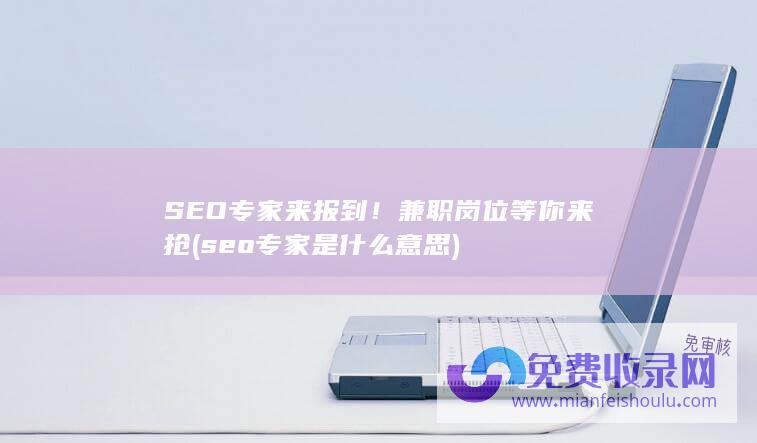 seo专家是什么意思