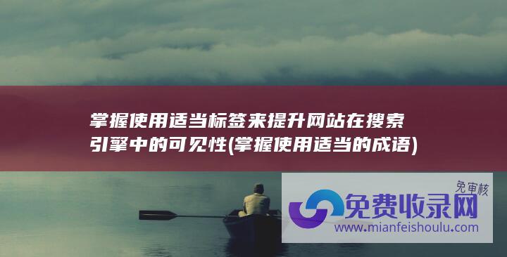 掌握使用适当标签来提升网站在搜索引擎中的可见性 (掌握使用适当的成语)