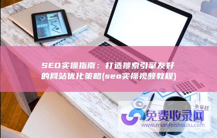 seo实操视频教程