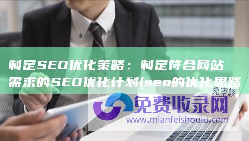 制定SEO优化策略：制定符合网站需求的SEO优化计划 (seo的优化思路)