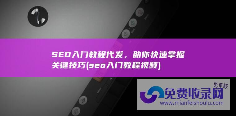 SEO入门教程代发，助你快速掌握关键技巧 (seo入门教程视频)