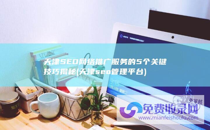 天津SEO网络推广服务的5个关键技巧揭秘