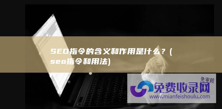 SEO指令的含义和作用是什么？ (seo指令和用法)