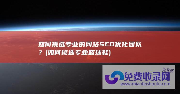 如何挑选专业的网站SEO优化团队？ (如何挑选专业篮球鞋)