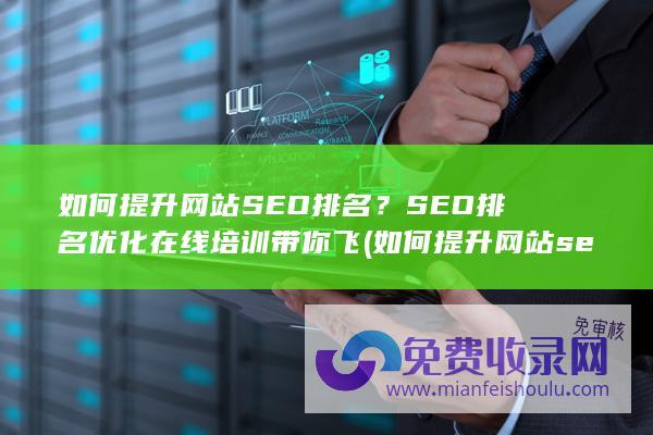 如何提升网站SEO排名？SEO排名优化在线培训带你飞 (如何提升网站seo排名)