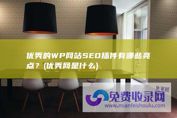 优秀的WP网站SEO插件有哪些亮点？ (优秀网是什么)