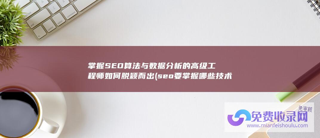 掌握SEO算法与数据分析的高级工程师如何脱颖而出 (seo要掌握哪些技术)