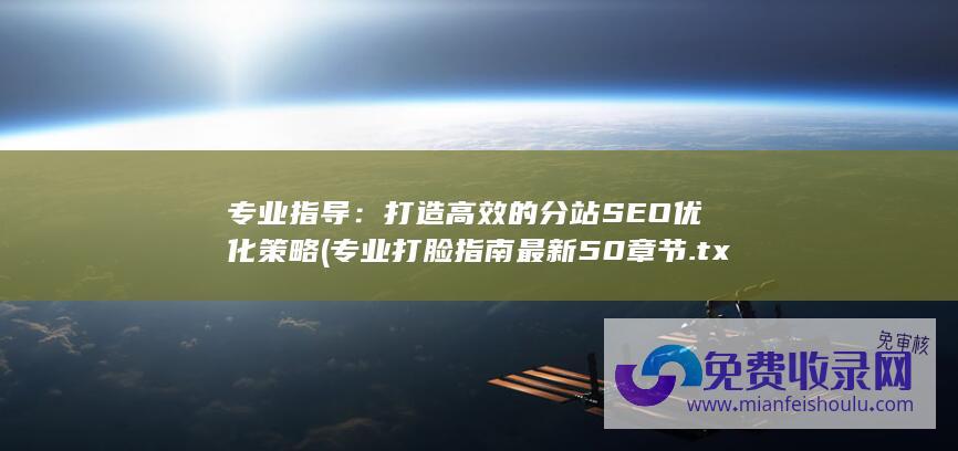 专业指导：打造高效的分站SEO优化策略 (专业打脸指南 最新50章节.txt)