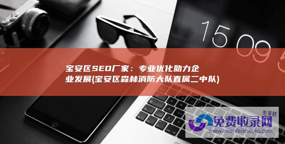 宝安区SEO厂家：专业优化助力企业发展 (宝安区森林消防大队直属二中队)