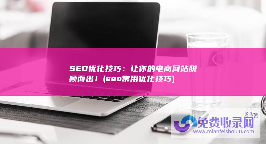 SEO优化技巧：让你的电商网站脱颖而出！ (seo常用优化技巧)