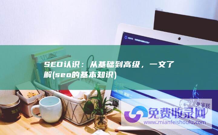 SEO认识：从基础到高级，一文了解 (seo的基本知识)