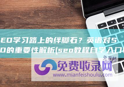 SEO学习路上的绊脚石？英语对SEO的重要性解析 (seo教程自学入门教材)